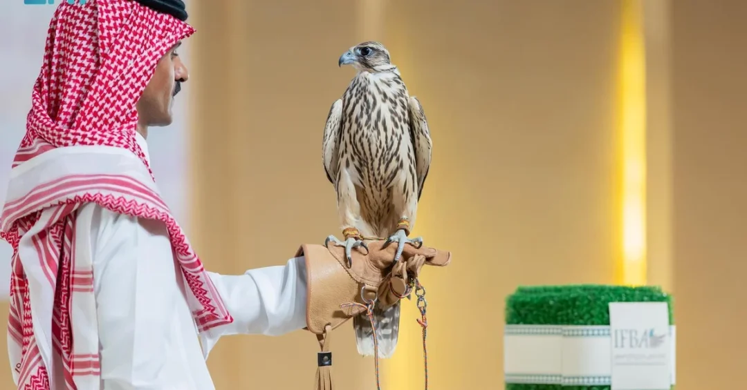 Two Falcons Fetch Record SAR170,000 at International Falcon Breeders Auction 2024
