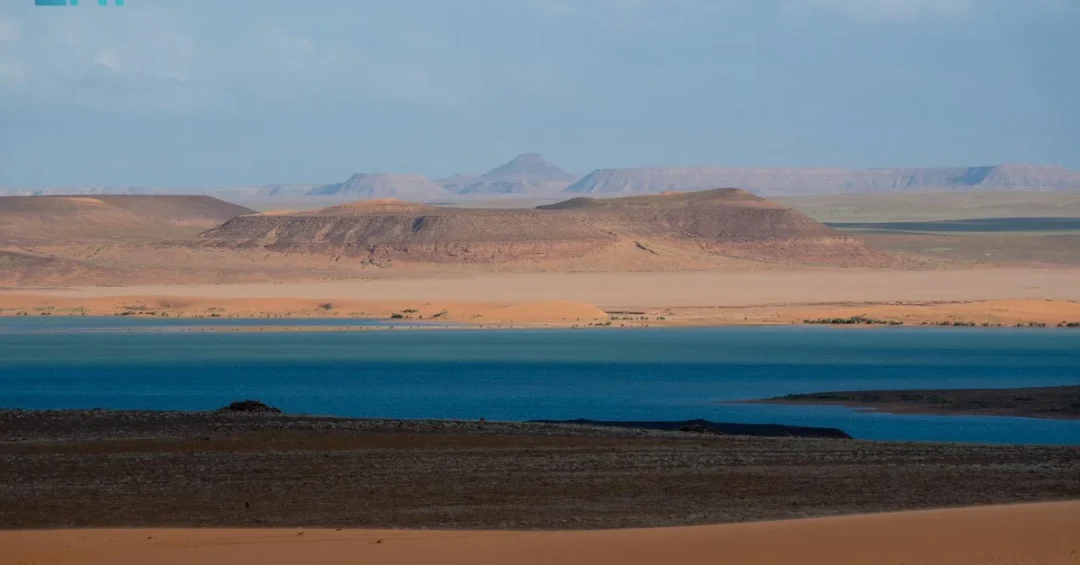 King Salman Royal Reserve Highlights Wetland Conservation on World Wetlands Day