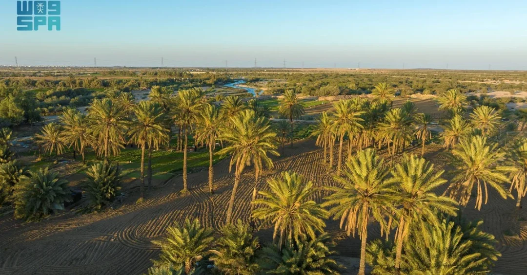 Wadi Al-Arj in Taif: A Unique Blend of Nature, History, and Culture