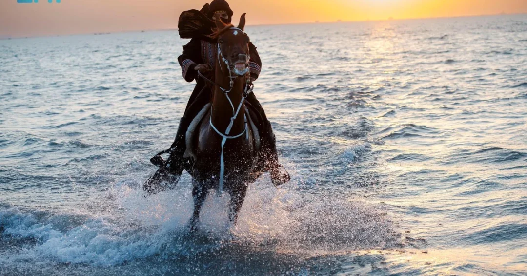 Jeddah’s Equestrian Scene Thrives Along Scenic Coastline