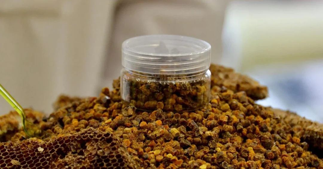 16th Klija Festival in Buraidah: A Sweet Retreat for Honey Lovers
