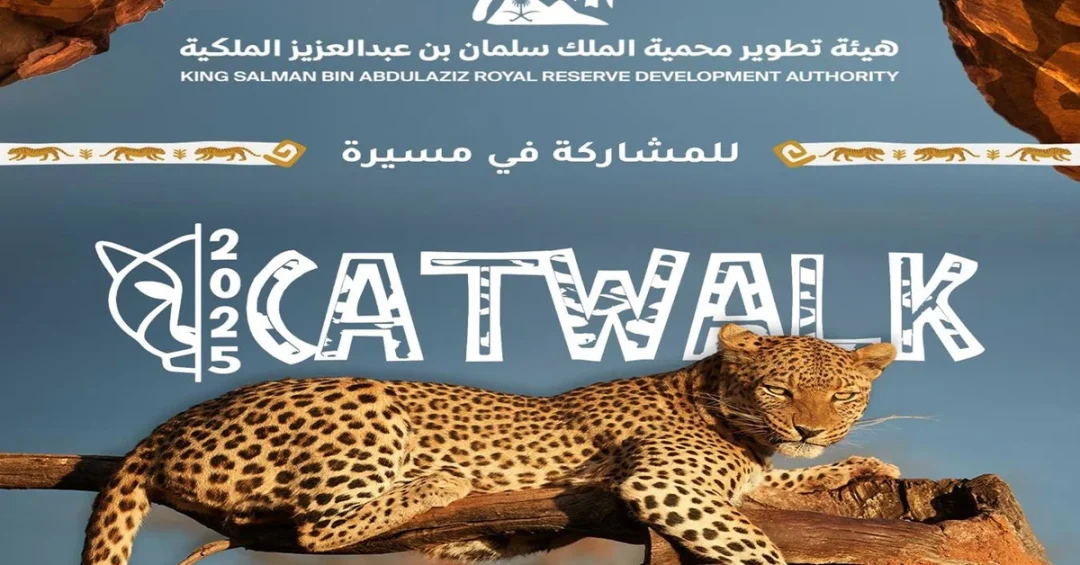 Saudi Reserve Hosts Catwalk 2025 to Protect Endangered Wild Cats