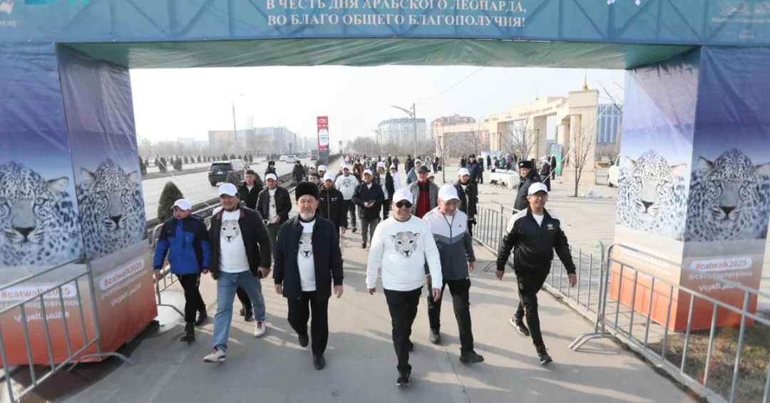 Saudi Embassy in Kyrgyzstan Hosts March for Arabian Leopard Day
