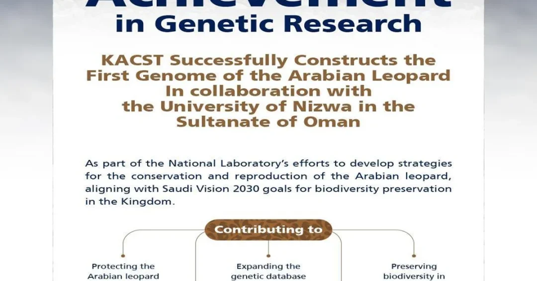 KACST Builds First Arabian Leopard Genome, Boosting Conservation Efforts