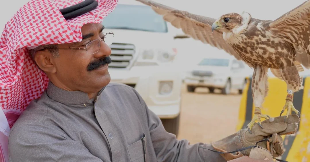 Qassim Falcons Festival Attracts Crowds with Thrilling Falconry Displays