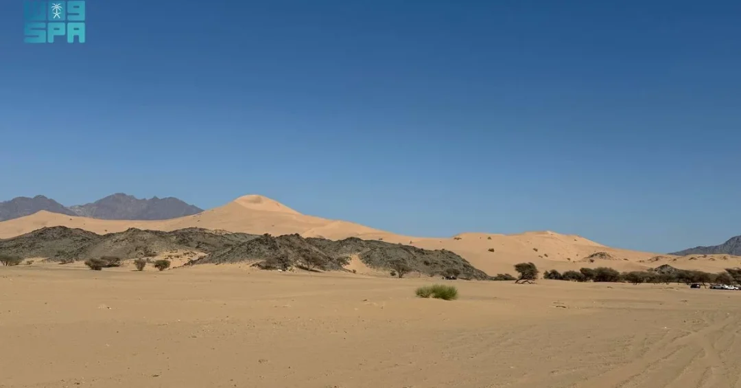 Al-Jabiya Sand Dunes Draw Desert Enthusiasts in Madinah
