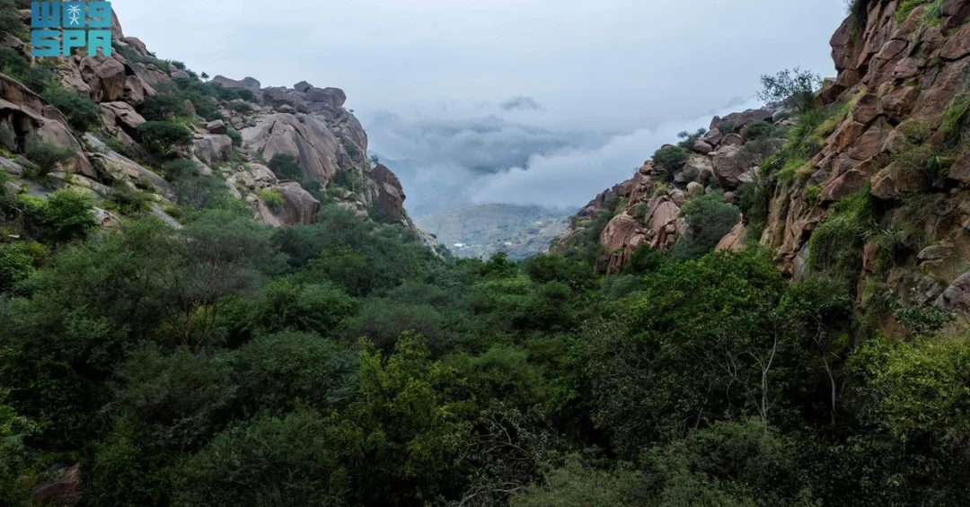 Low Clouds Create Winter Wonderland in Saudi Arabia’s Shada Mountains