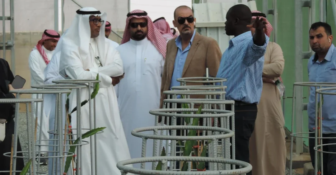 NCVC, KAUST, University of Jeddah Join Forces at Wadi Qudaid for Green Solutions