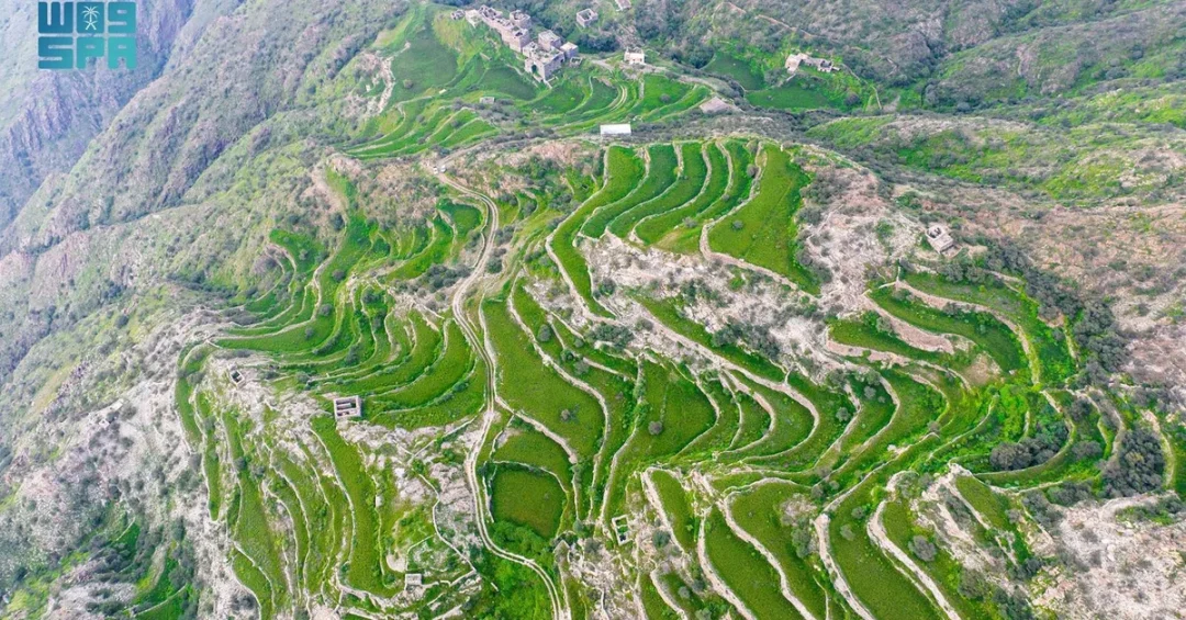 Baran Village: A 500-Year-Old Heritage Landmark in Al-Baha