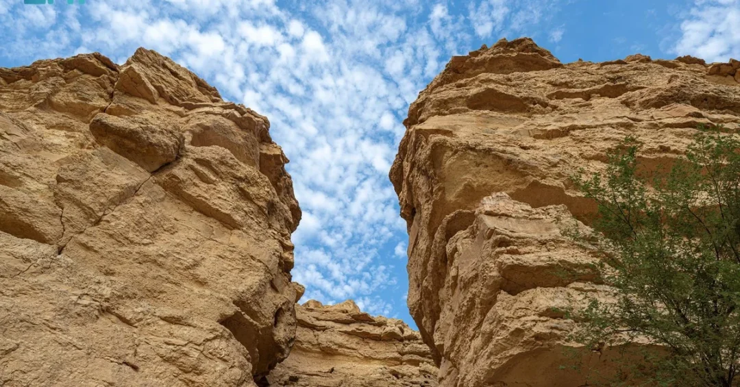 King Khalid Royal Reserve Geological Wonders Offer Unmatched Natural Beauty Adventure