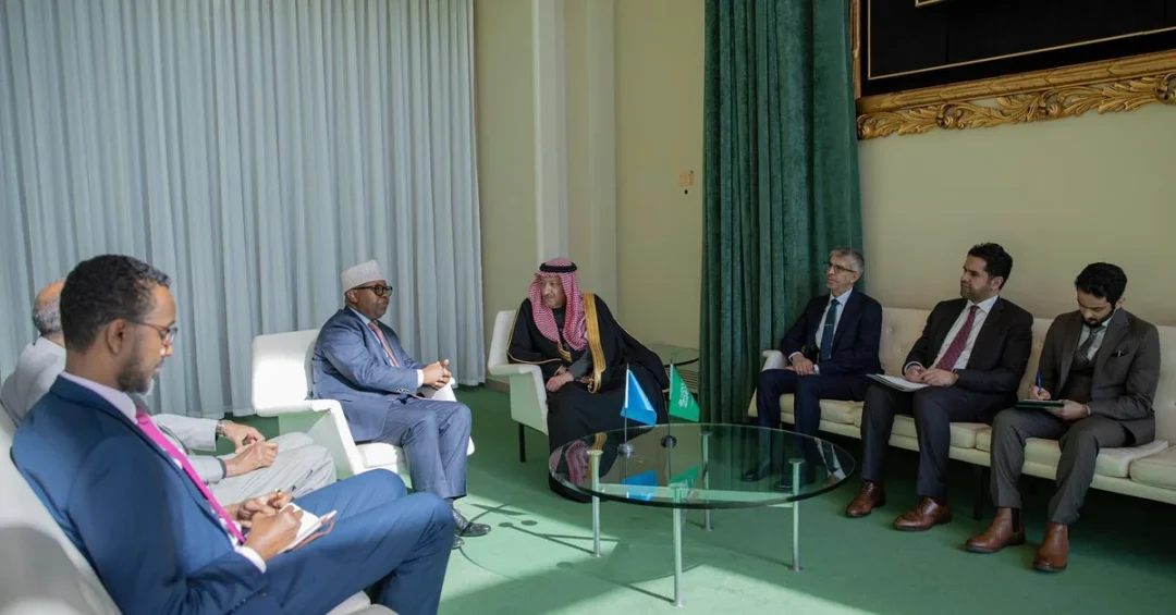 Saudi Arabia and Somalia Strengthen Ties in High-Level Meeting