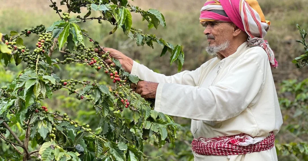 Second Coffee Festival in Rijal Almaa Boosts Aseer as Economic, Tourism Hub