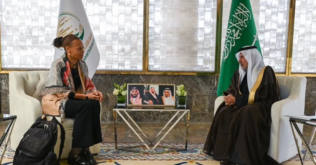 KSrelief Supervisor General Meets with SDC Director General