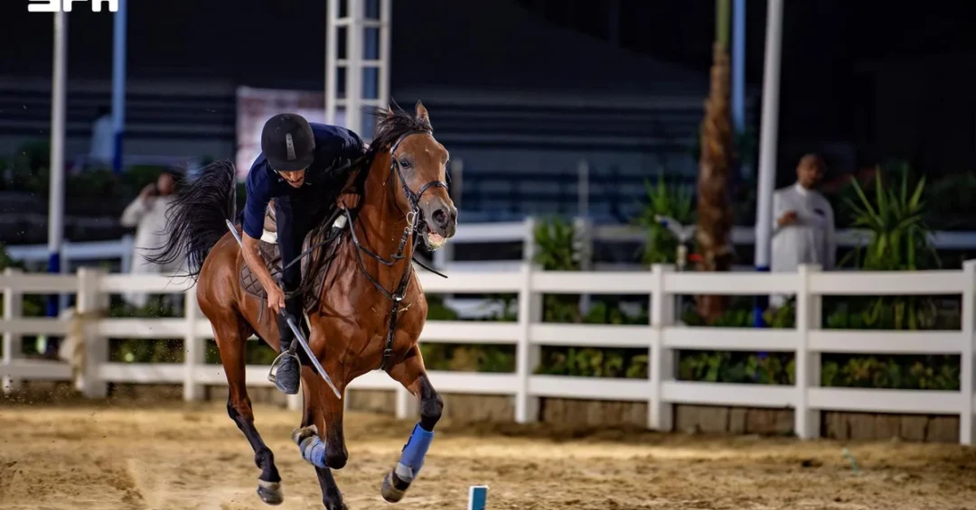 Taif Horse Stables Offer Visitors Authentic Equestrian Experience
