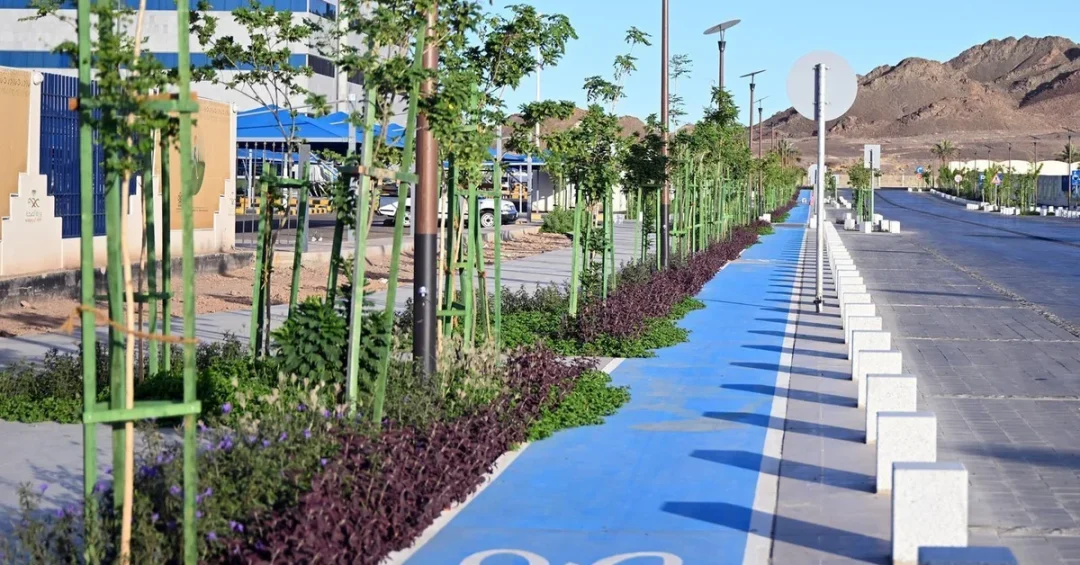 Madinah Expands Sustainable Mobility with Growing Bicycle Network
