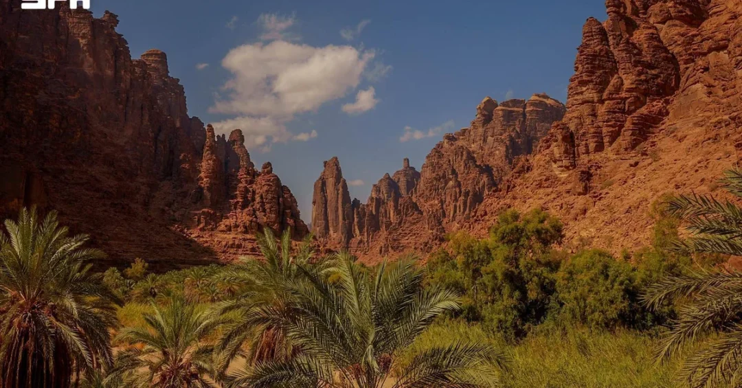 Saudi Arabia’s Voluntary Carbon Market Drives Low-Carbon Future