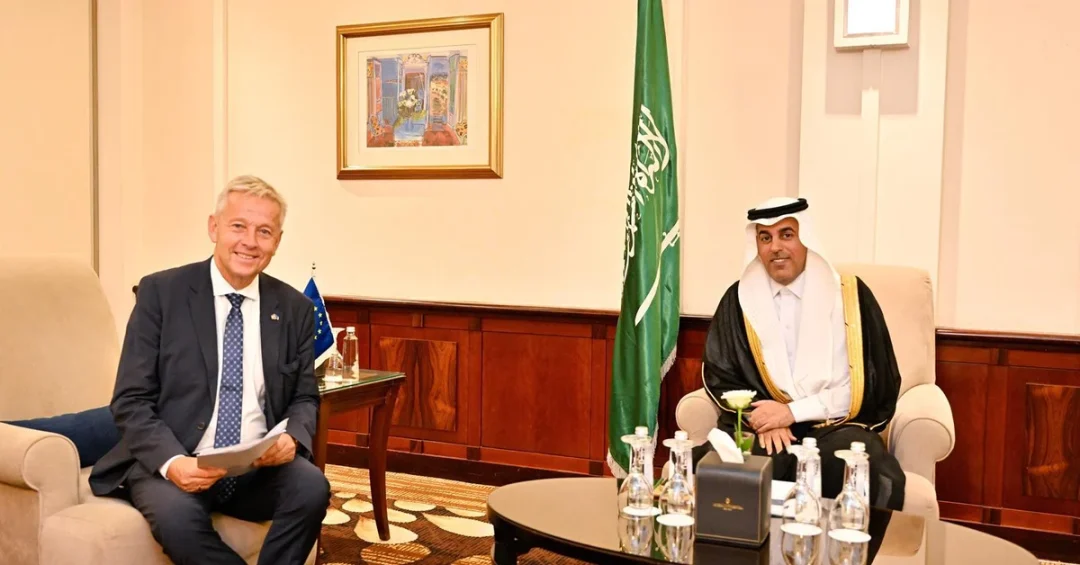 Shura Council Vice Speaker Meets European Parliament Delegation