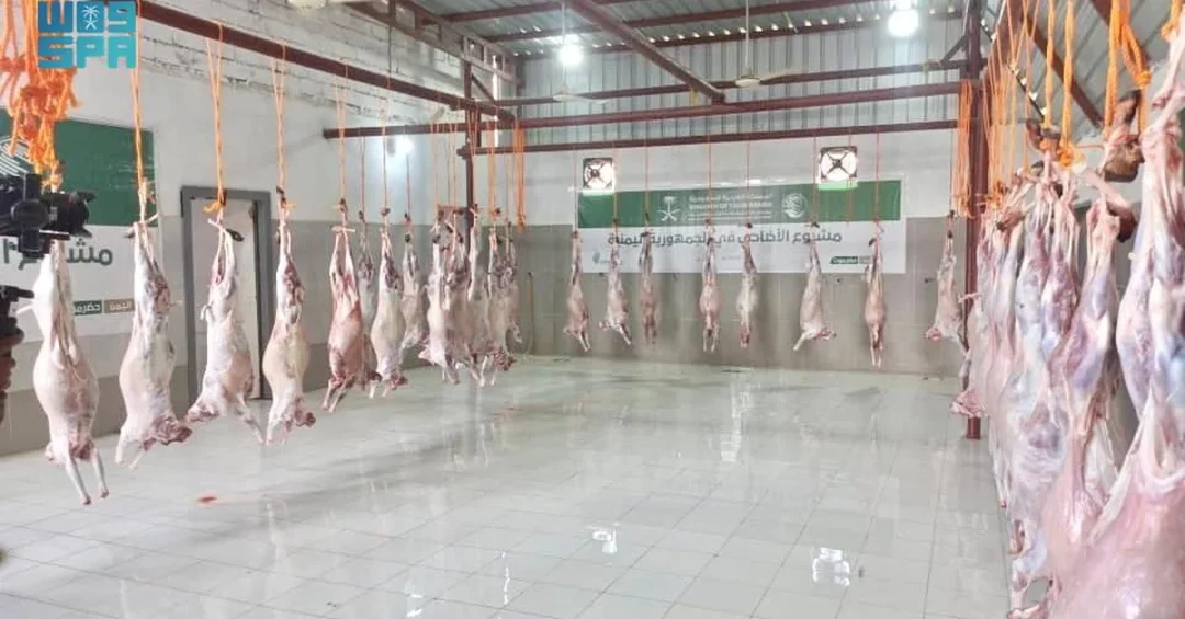KSrelief Distributes 185 Sacrificed Animals to Families in Yemen’s Hadhramaut