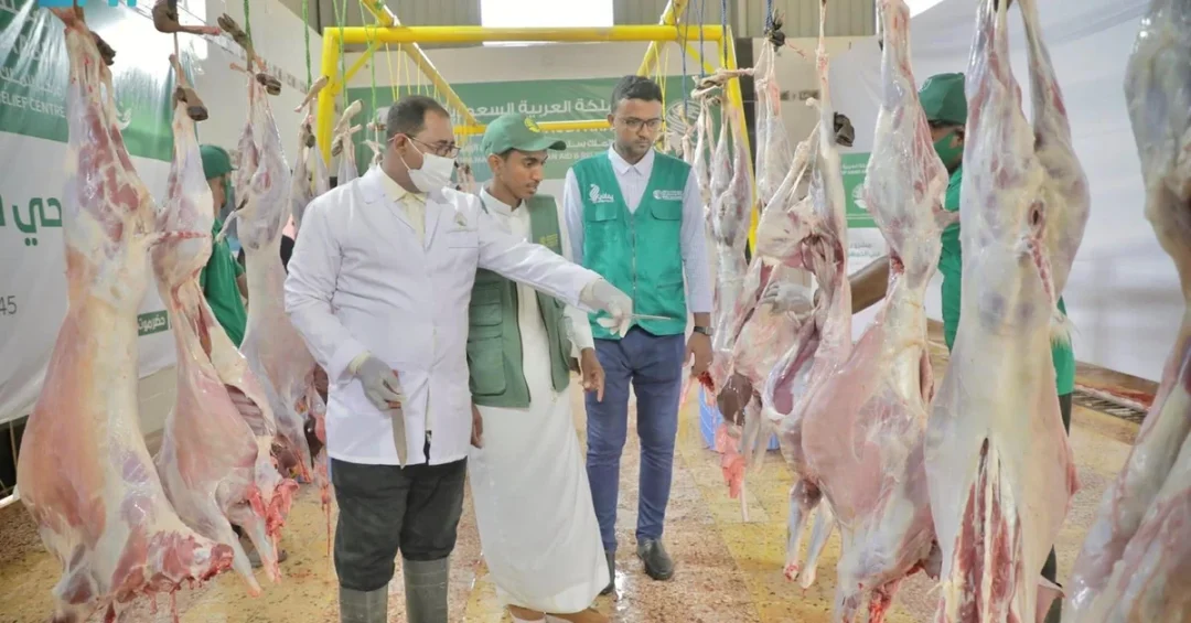 KSrelief Distributes 150 Sacrificed Animals to Yemen’s Hadhramaut