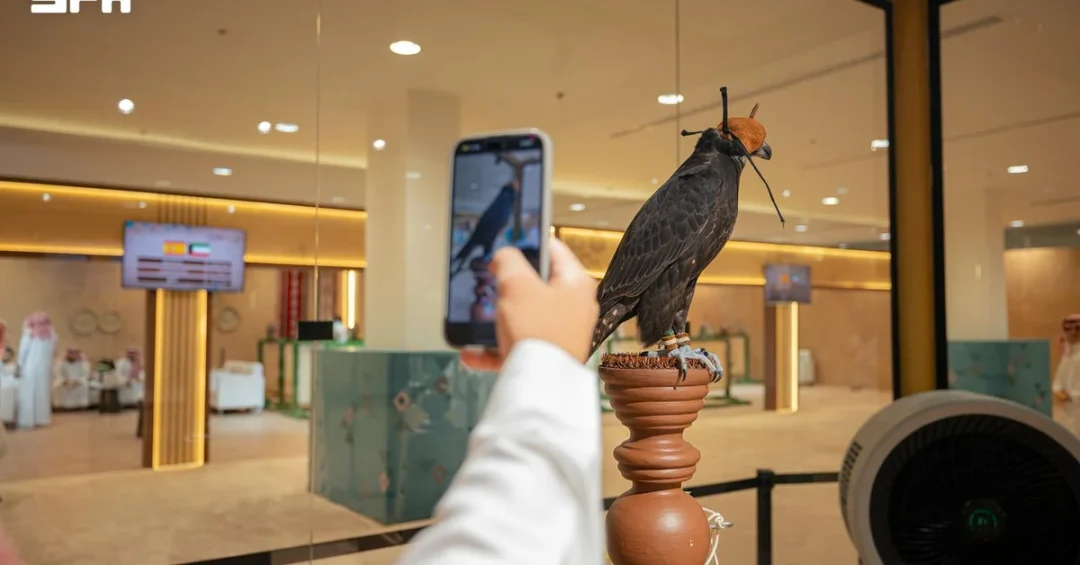 Saudi Falcons Club Enhances Auction Transparency with New Measures
