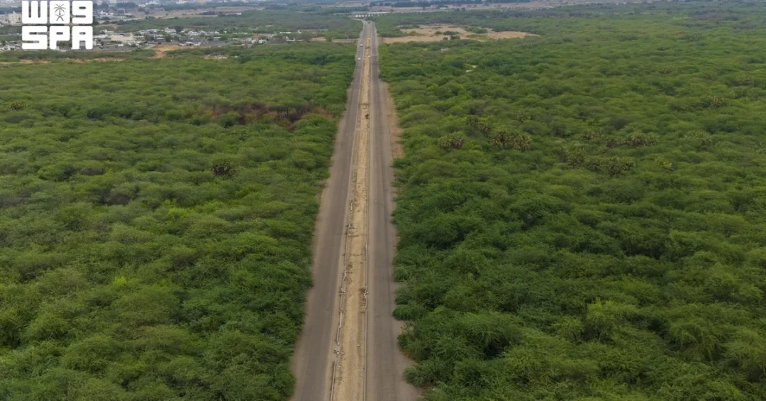 Rain Transforms Baish into Lush Landscape, Boosting Tourism