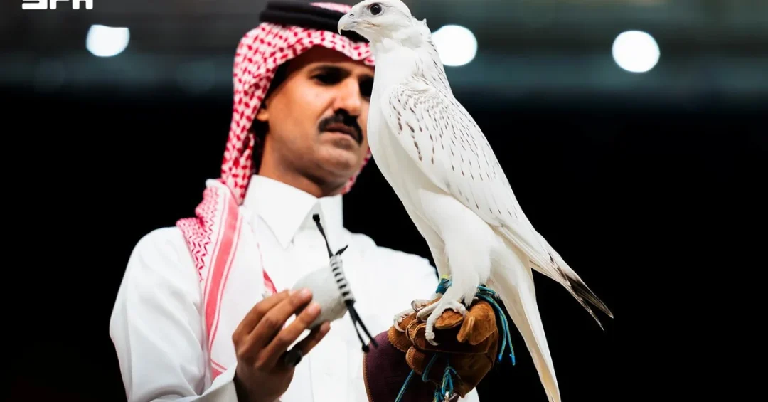 Rare Super White Falcon Sells for SAR 1.3M at Saudi Auction