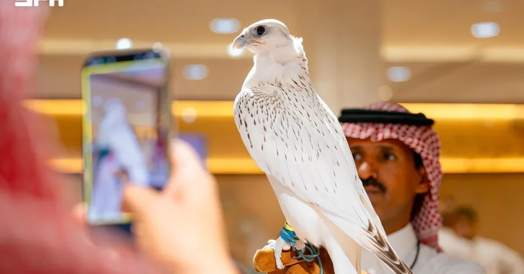 Canadian Farm’s Falcon Sells for SAR 1.3 Million at Saudi Auction