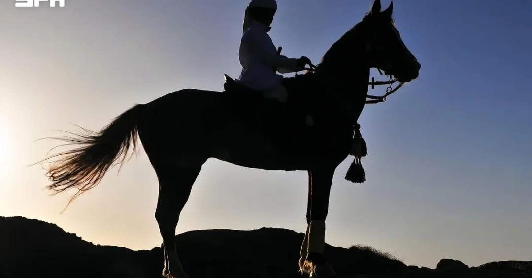 Najran: A Cultural Icon Revealed Through the Lens on World Photography Day