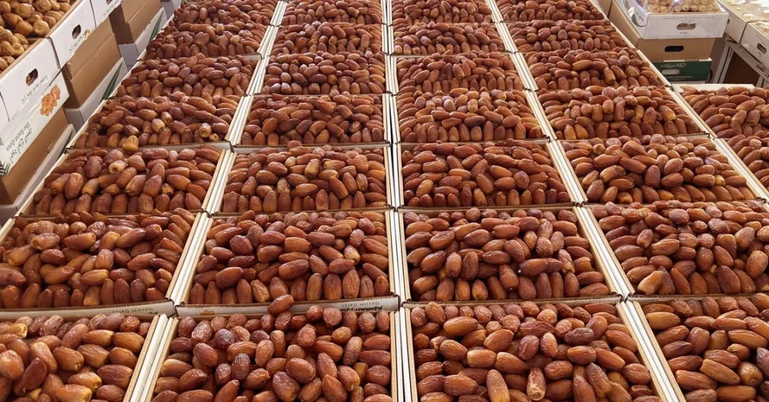 Bukeiriyah Date Market 2026: Strong Season Boosts Qassim Economy