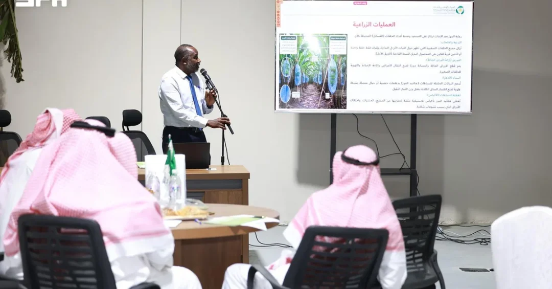 Saudi Estidamah Workshop Boosts Sustainable Banana Farming in Jazan