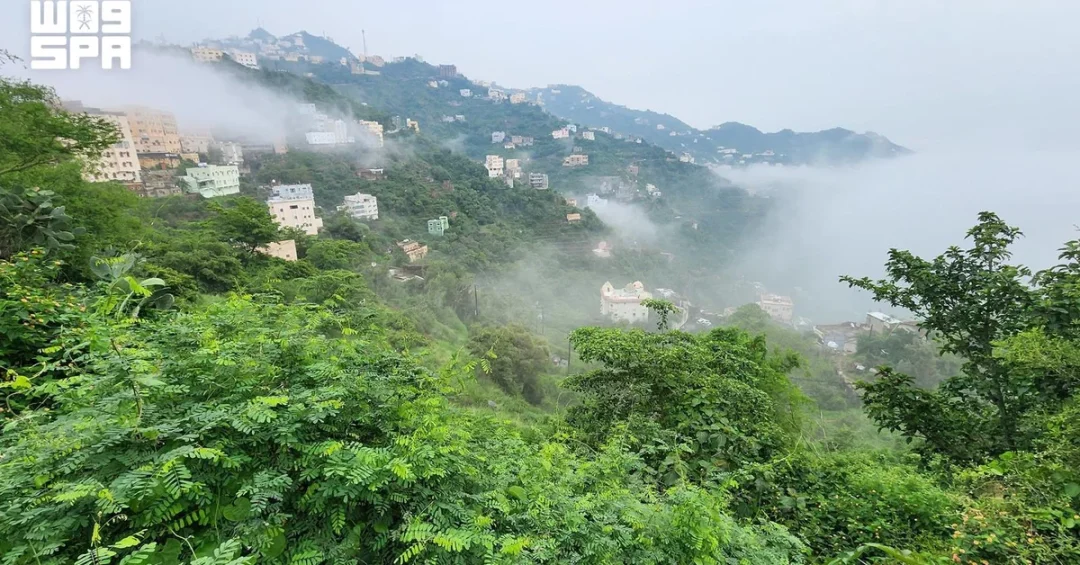 Jazan Rains Transform Mountains into Green Landscapes