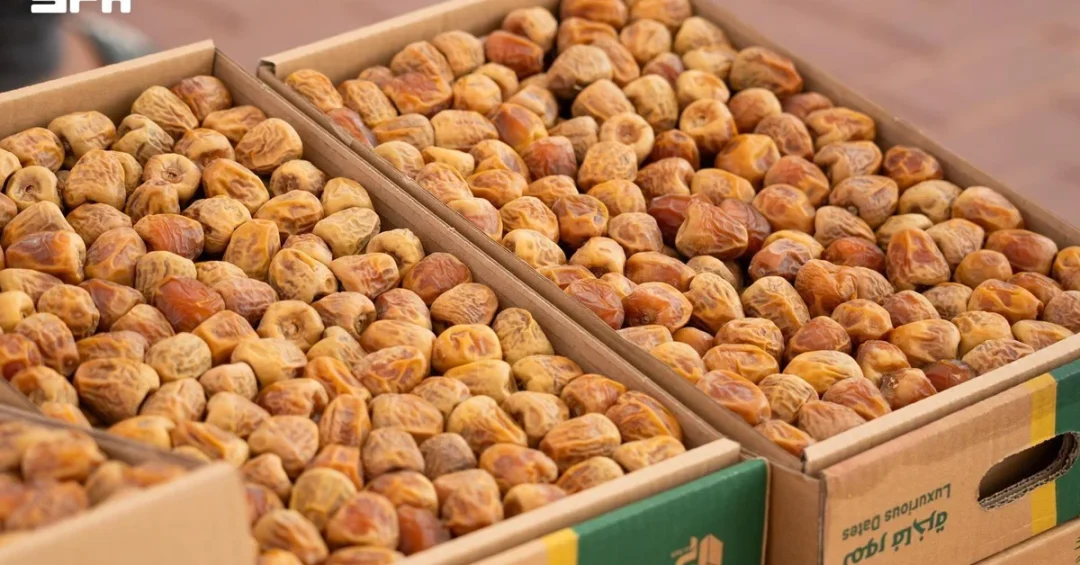 Al-Badayea Dates Market Spurs Agricultural Trade and Economic Growth in Qassim