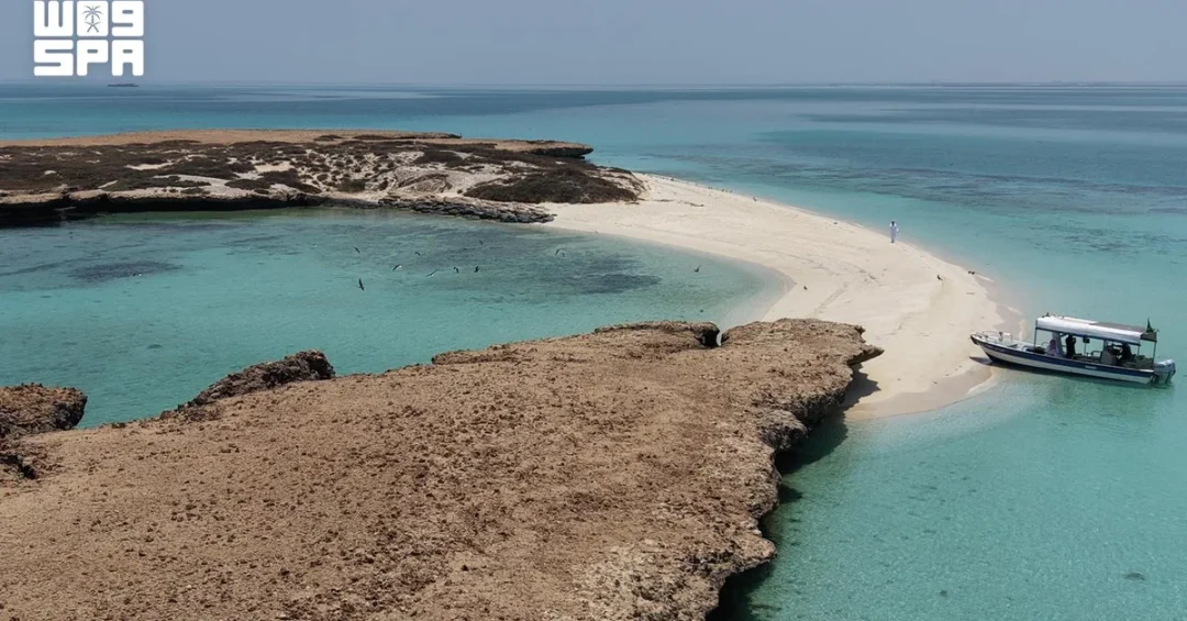 Farasan Islands: A Global Model for Conservation Excellence