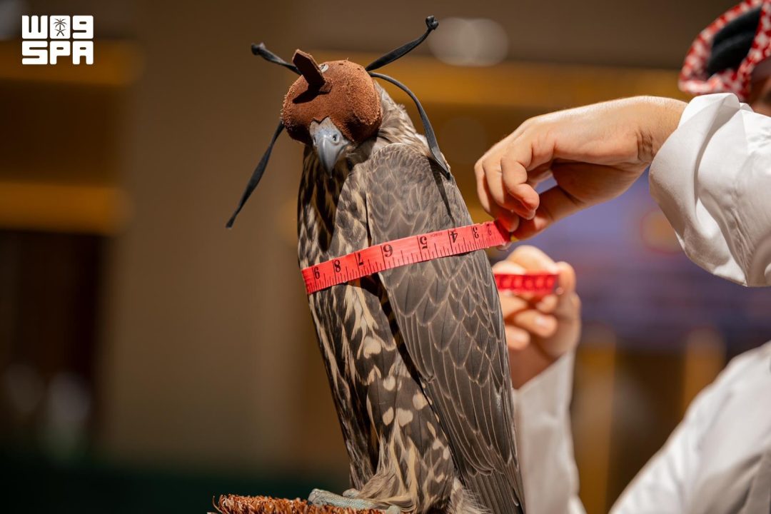International Falcon Breeding Farms Auction in Mulham