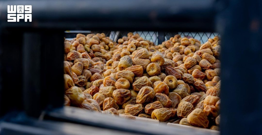 Sukkari Dates Draw Strong Demand at Buraidah Dates Carnival