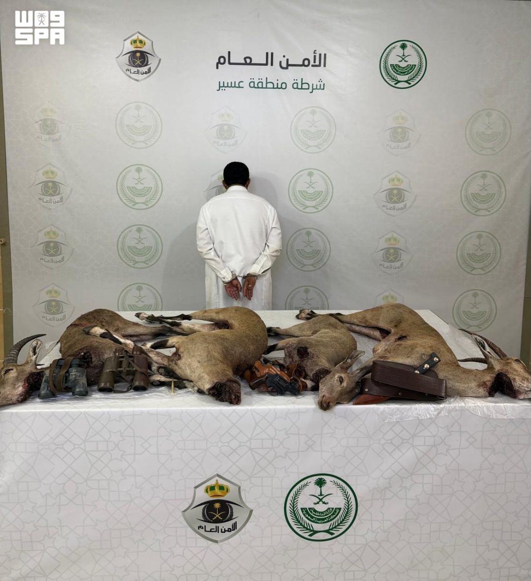 Aseer Police arrest man for hunting endangered ibex