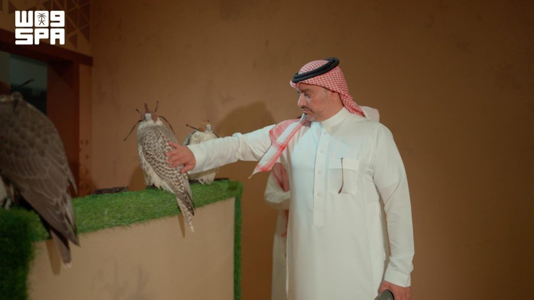 Saudi investor spends 6 million riyals on falcon ecosystem