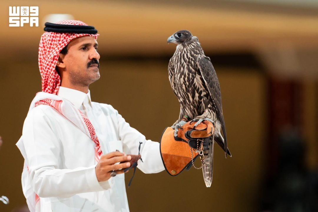 International Falcon Breeding Farms Auction features diverse species