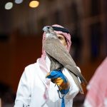サウジ国際ファルコン・狩猟展、モンゴル産ハヤブサ2羽が55万リヤルで落札