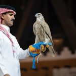 Zwei mongolische Falken erzielen 350.000 SAR bei Auktion in Riad
