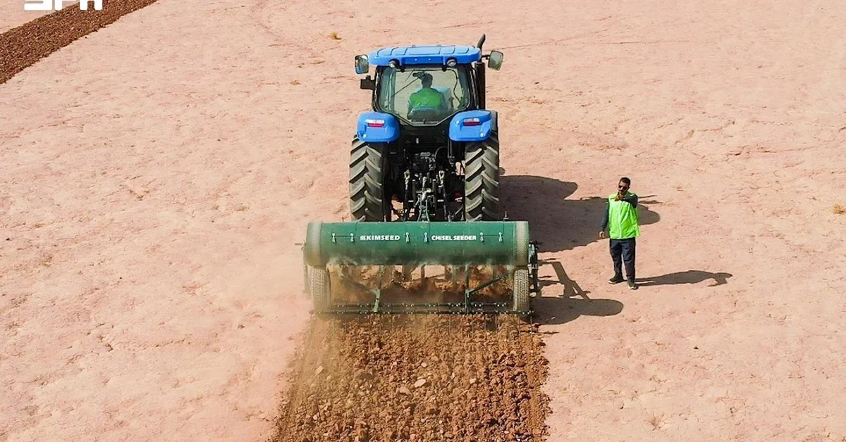 Qassim Launches Wild Plant Seeding to Restore Rangelands – KSA.com
